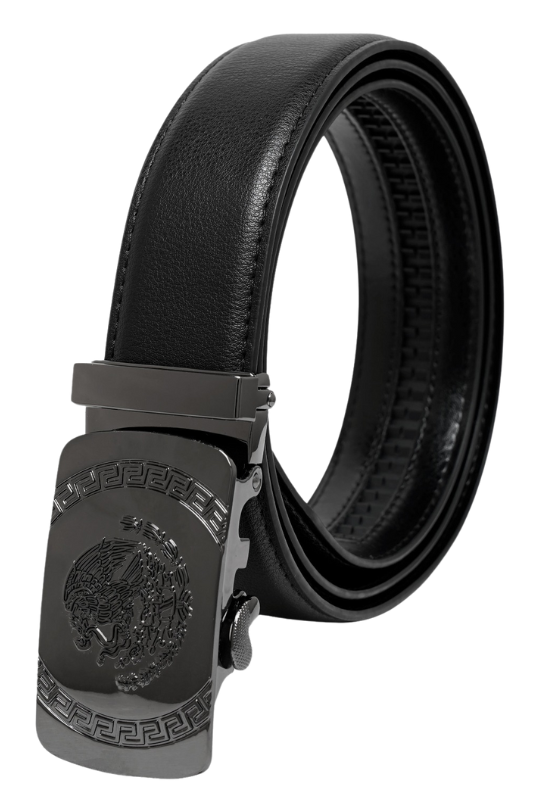 Coat Of Arms in Geo Circle Belt