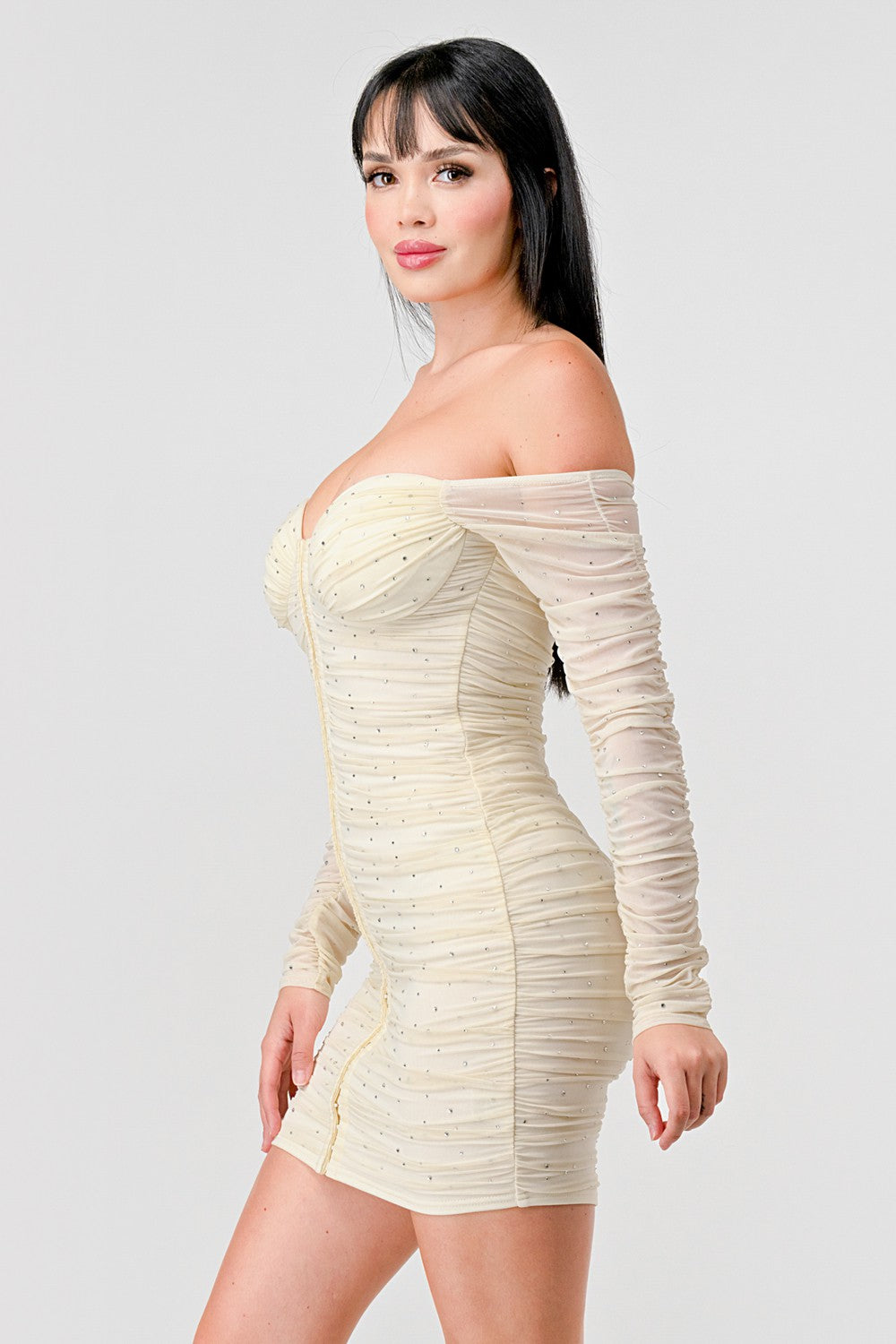Stoned Mesh Long Sleeve Ruch Dress