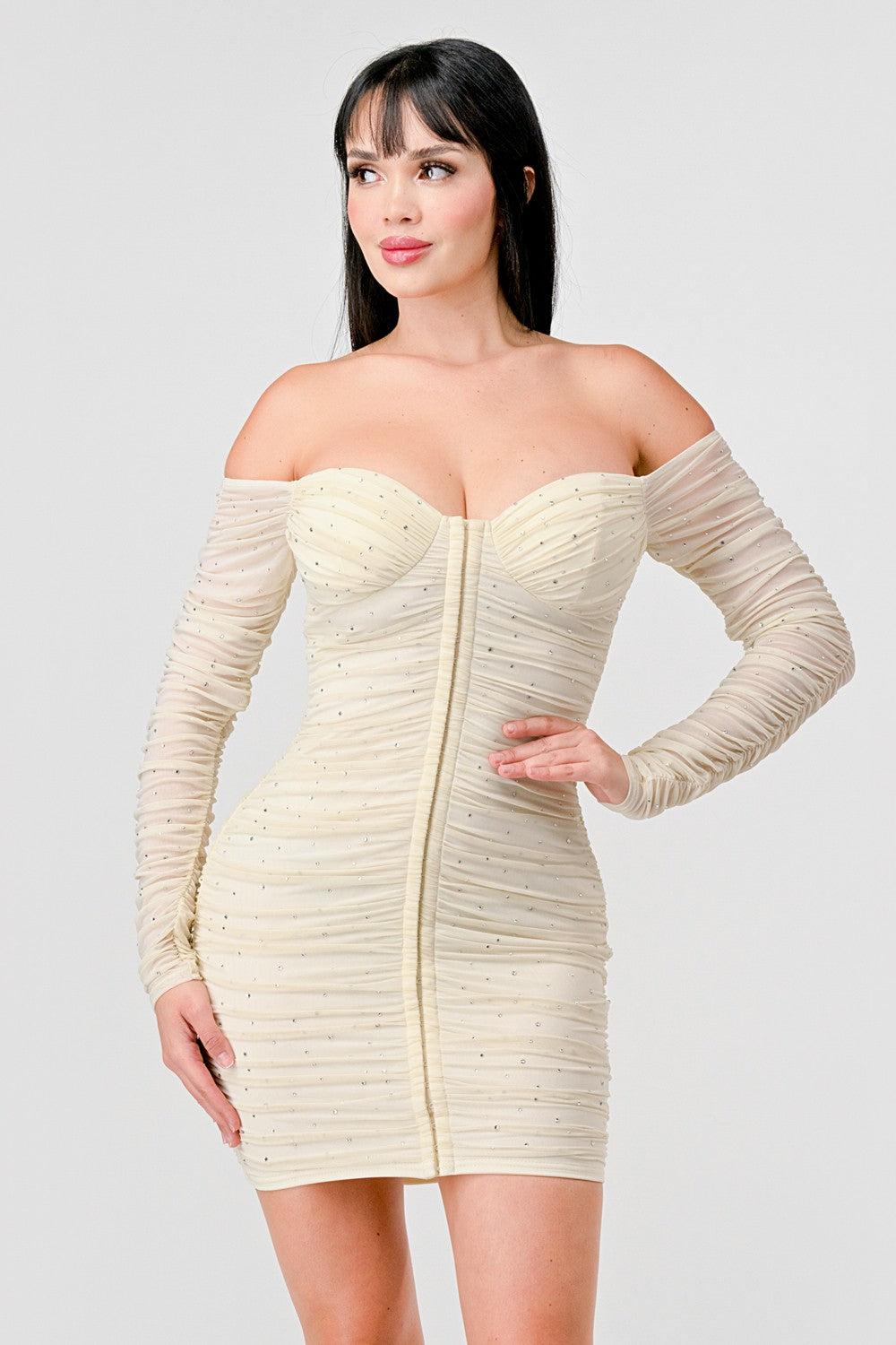 Stoned Mesh Long Sleeve Ruch Dress