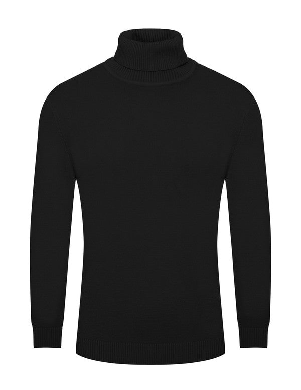 Solid Long Sleeve Turtleneck Sweater