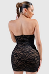 Stretch Lace Deep V Tube Mini Dress