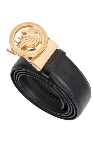 belt_large.png?v=1655413134 display picture 2